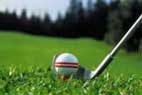 attrezzature golf - pallina e mazza