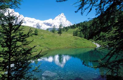 Cercasi gestore per Risotrante / Hotel Valle d'Aosta