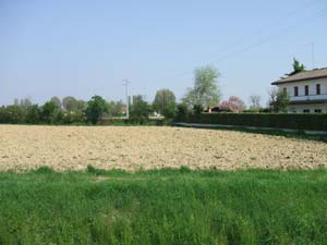 Vendesi terreno turistico Mogliano Veneto